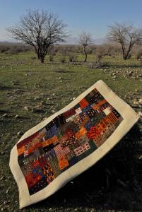 Rugs in Nature 206