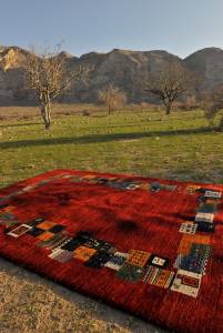 Rugs in Nature 209