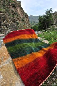 Rugs in Nature 216