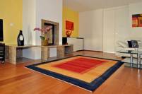 Rugs with Interior 110